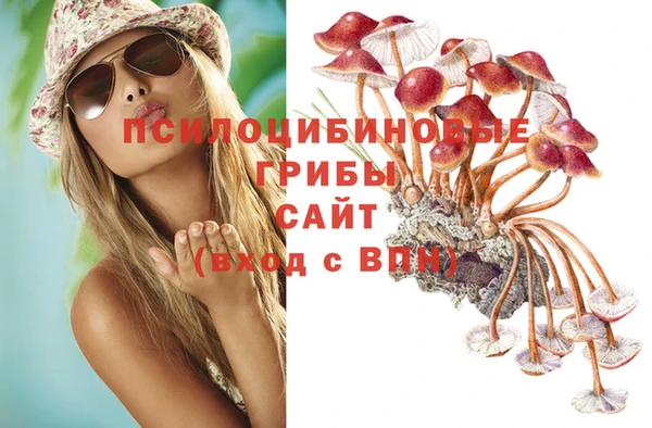 индика Наволоки