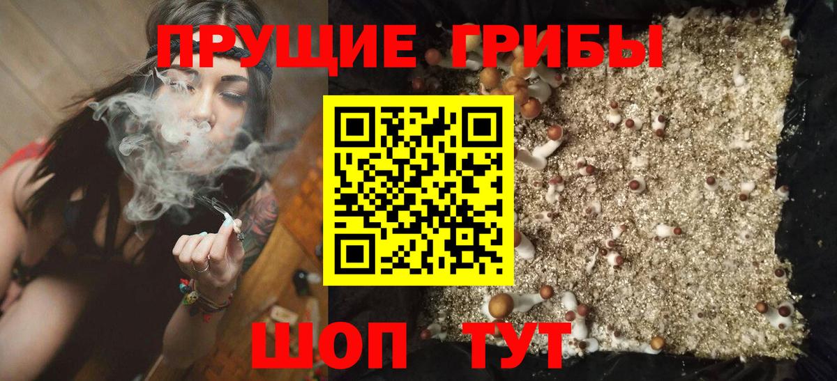 Псилоцибиновые грибы ЛСД Кизилюрт
