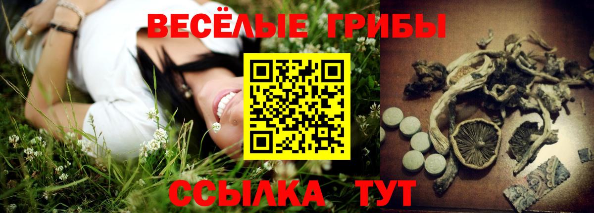 цены   Псилоцибиновые грибы прущие грибы  Вход с VPN  Кизилюрт 