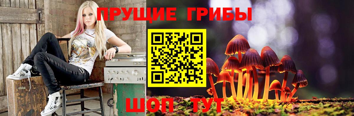 Галлюциногенные грибы ЛСД  Кизилюрт 