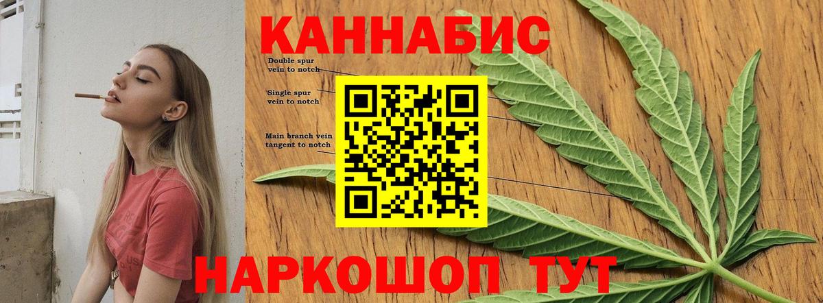 Каннабис сатива Кизилюрт