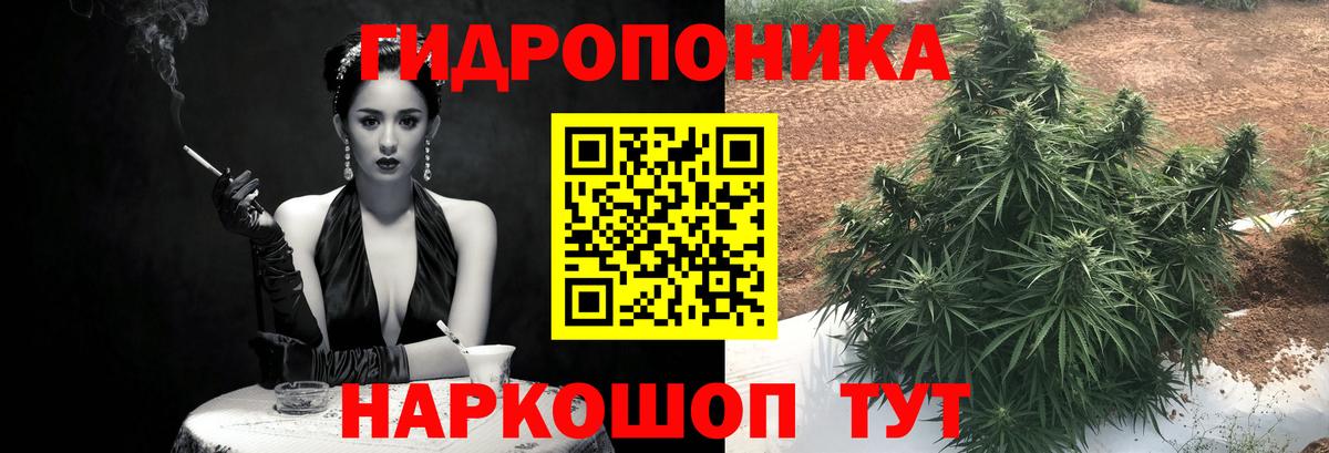 Канабис план  МАРИХУАНА конопля  Вход с VPN  Каннабис конопля  Кизилюрт 